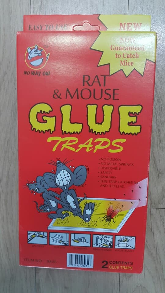 rat _ mouse glue traps